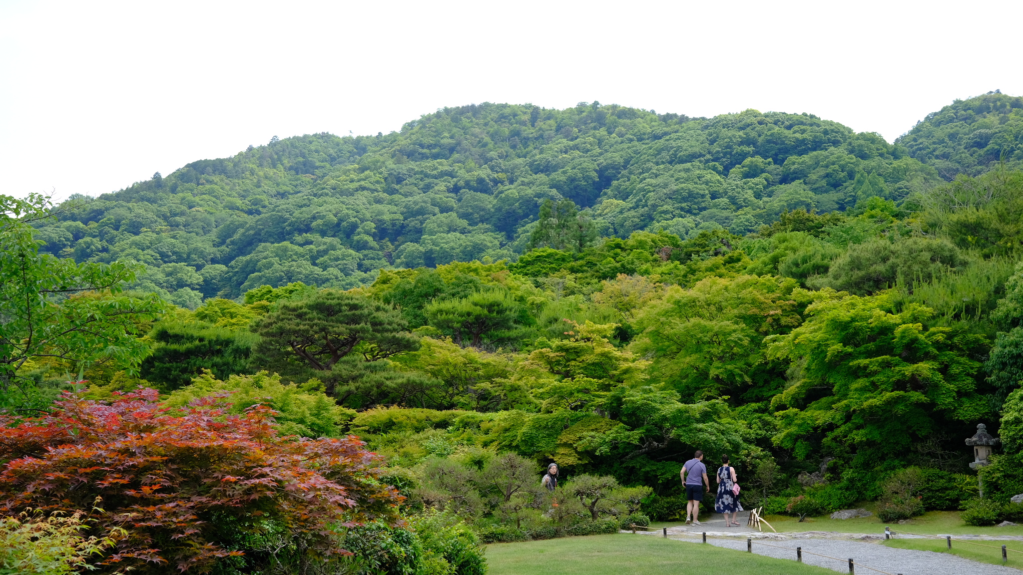 Kyoto Photo 2