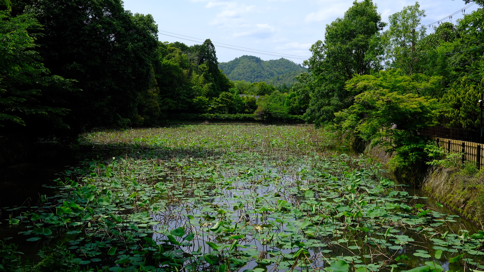 Kyoto Photo 1